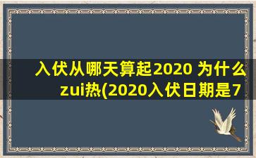 入伏从哪天算起2020 为什么zui热(2020入伏日期是7月22日，为什么气温zui热是在入伏后？如何预防中暑？)